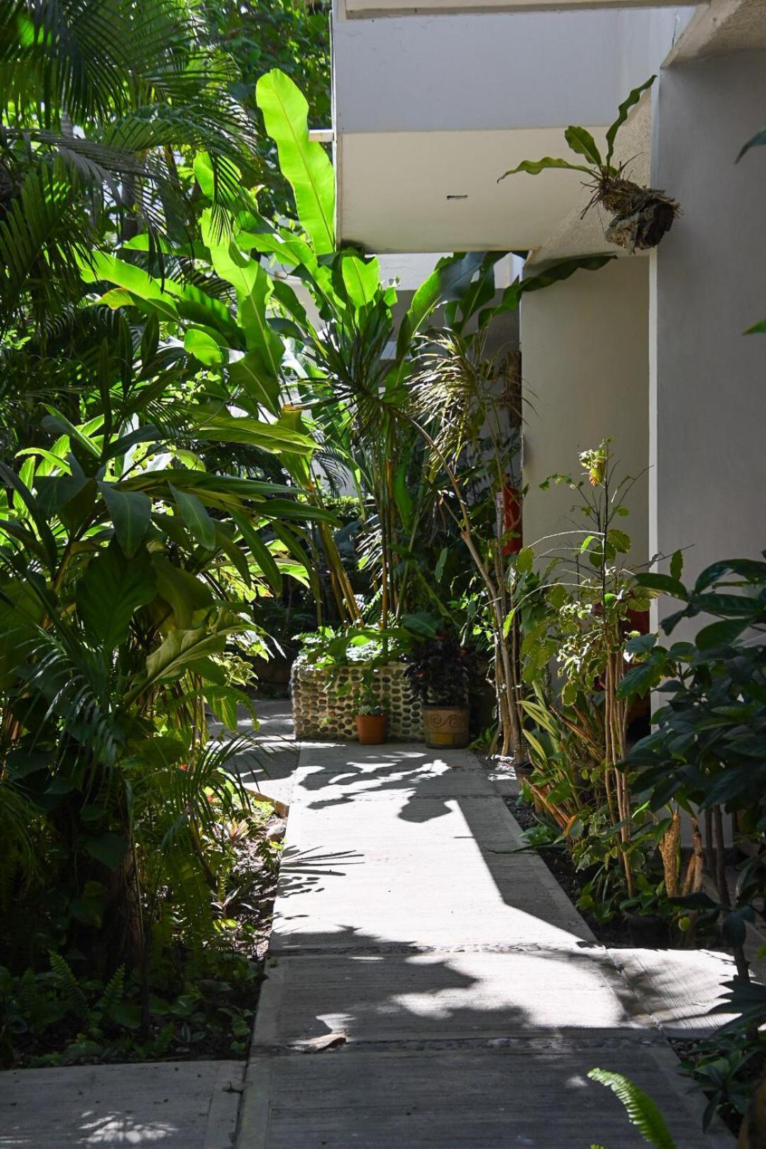 Hotel Palmeras Bucerías Esterno foto