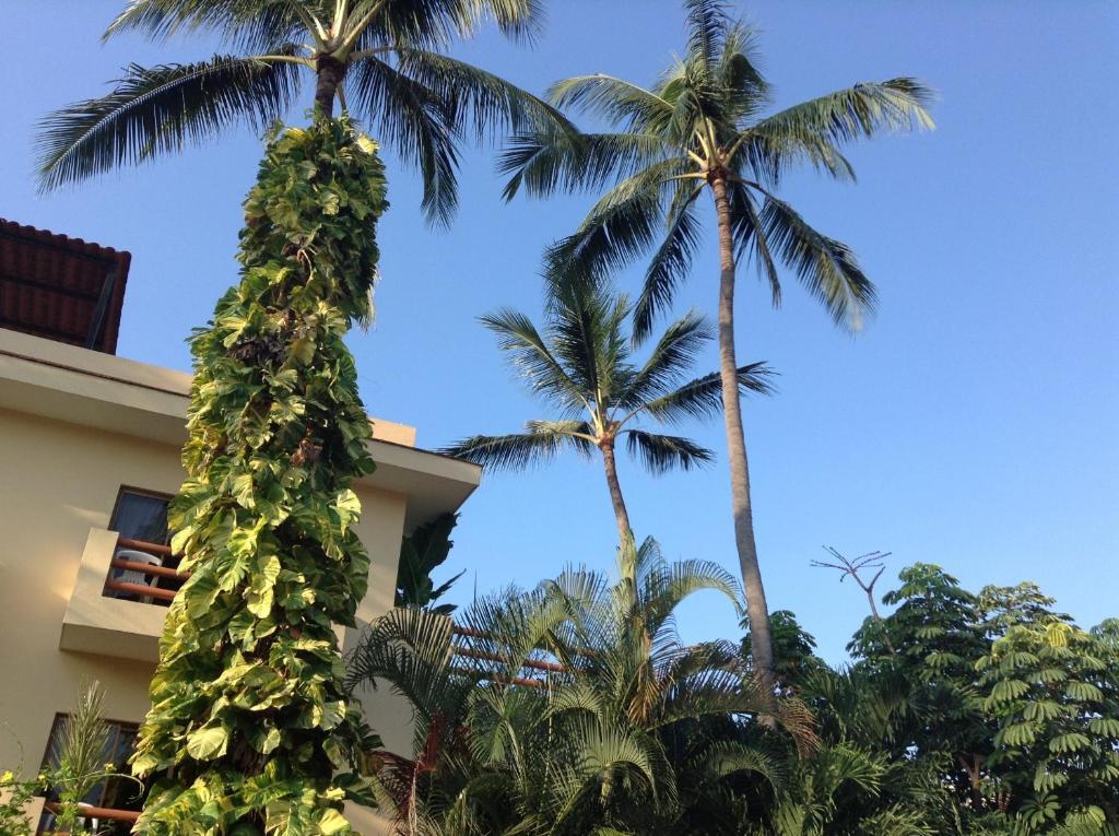 Hotel Palmeras Bucerías Esterno foto